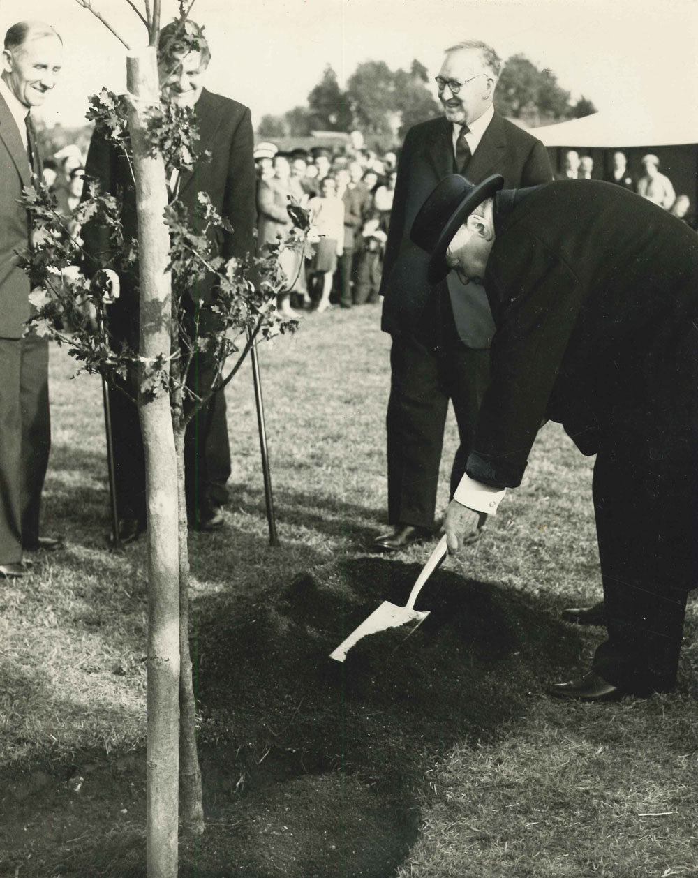 Winston Churchill plants an Oak tree